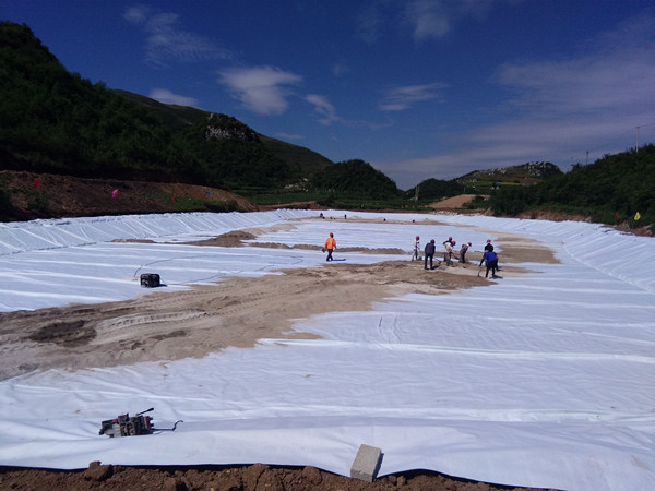 遵义高分子土工膜,垃圾处理厂藕池土工膜图片第2张-蓝狮土工材料