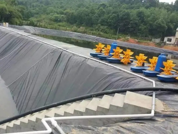 养鱼防渗膜图片第2张 鱼塘养殖土工膜