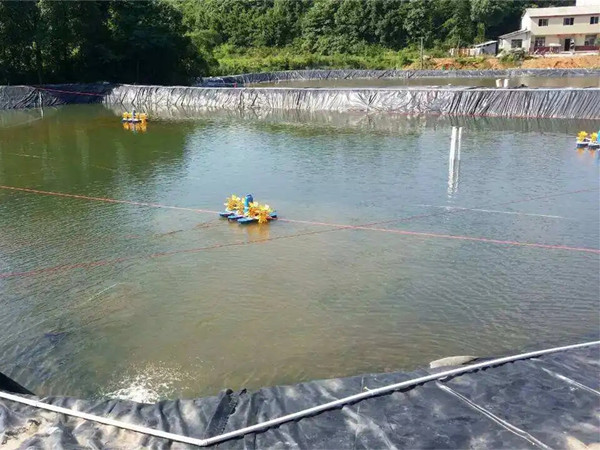 养鱼防渗膜图片第3张 家庭鱼塘土工膜效果图