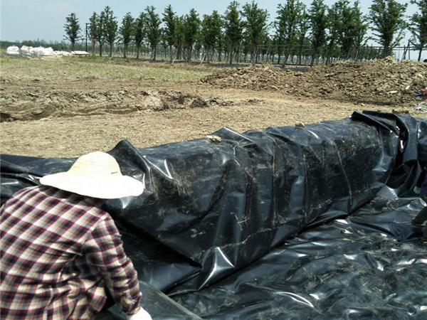 遵义高分子土工膜,垃圾处理厂藕池土工膜图片第6张-蓝狮土工材料