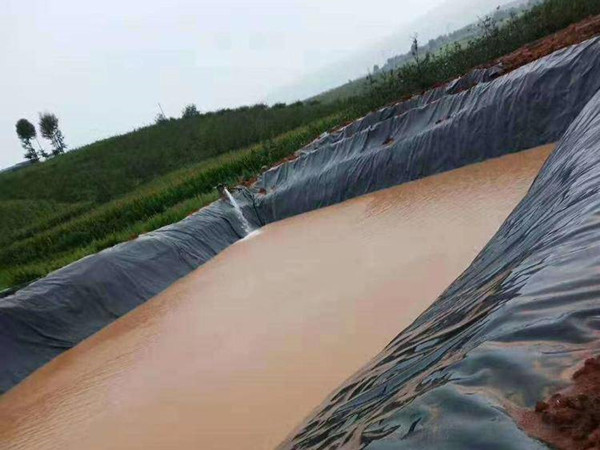 遵义高分子土工膜,垃圾处理厂藕池土工膜图片第7张-蓝狮土工材料