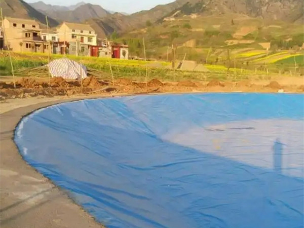 延安0.5土工膜,养鸭场防水防渗土工膜图片第5张-蓝狮土工材料