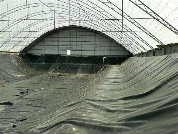 虾塘土工膜